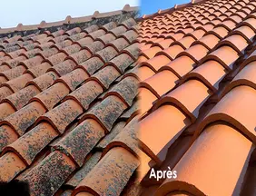 Entreprise de rénovation de toiture, Couvreur Royan 17200